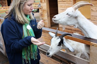 Sweet-talking the Goats