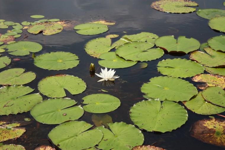 Stand Up Paddle Board Fun!